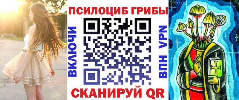 мега tor Каргополь Псилоцибиновые грибы Psilocybe наркошоп